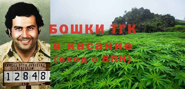 прущие грибы Абдулино