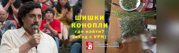 прущие грибы Абдулино