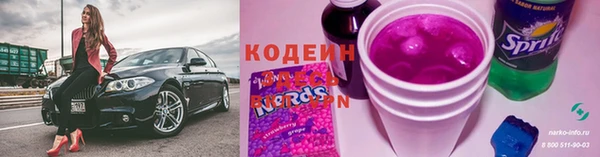 дмт Осинники