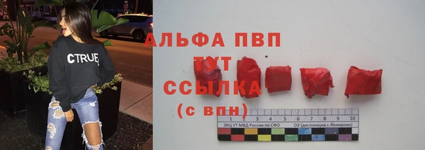 прущие грибы Абдулино